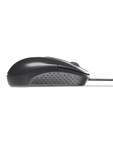 HP RH304AA mouse Ambidestro USB tipo A Ottico