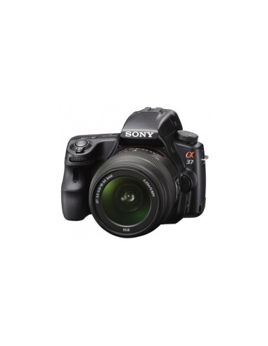 Sony α SLT-A37 + DT 18-55mm Kit fotocamere SLR 16,1 MP CMOS 4912 x 3264 Pixel Nero