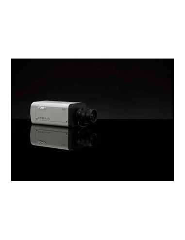 Sony SNC-CH120 telecamera di sorveglianza 1329 x 1049 Pixel