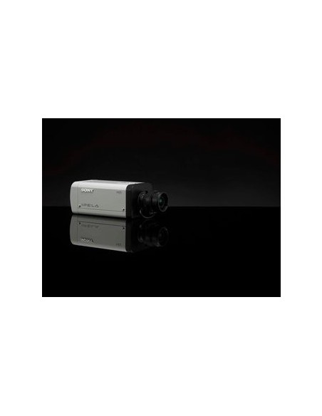 Sony SNC-CH120 telecamera di sorveglianza 1329 x 1049 Pixel