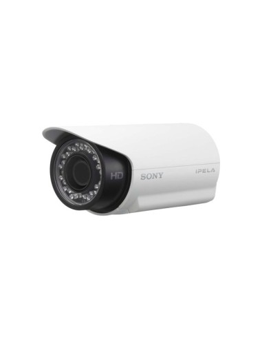 Sony SNC-CH180 telecamera di sorveglianza Esterno Capocorda 1280 x 1024 Pixel Parete