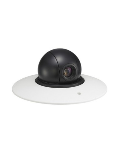 Sony SNC-RH124 telecamera di sorveglianza 1280 x 720 Pixel