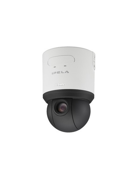 Sony SNC-RS44P telecamera di sorveglianza 720 x 576 Pixel