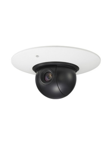 Sony SNC-RS44P telecamera di sorveglianza 720 x 576 Pixel