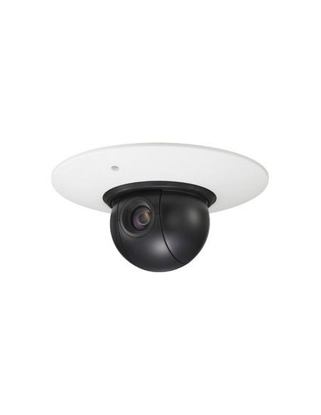 Sony SNC-RS44P telecamera di sorveglianza 720 x 576 Pixel
