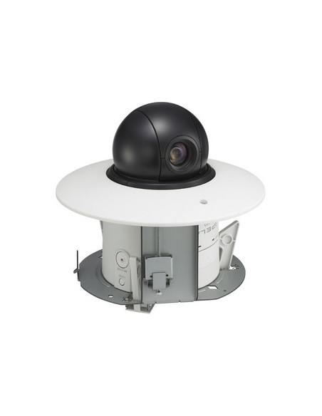 Sony SNC-RS44P telecamera di sorveglianza 720 x 576 Pixel