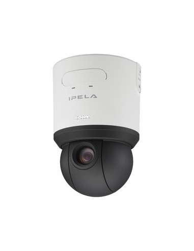Sony SNC-RS46P telecamera di sorveglianza 720 x 576 Pixel