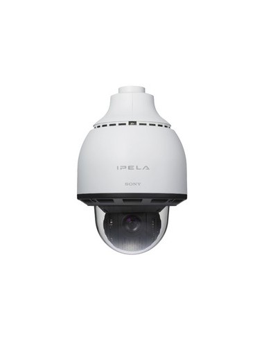 Sony SNC-RS84P telecamera di sorveglianza 720 x 480 Pixel