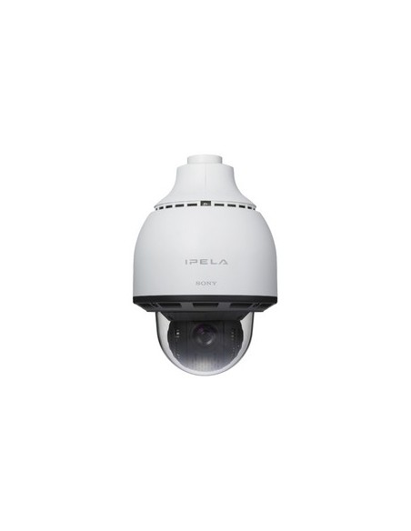 Sony SNC-RS84P telecamera di sorveglianza 720 x 480 Pixel