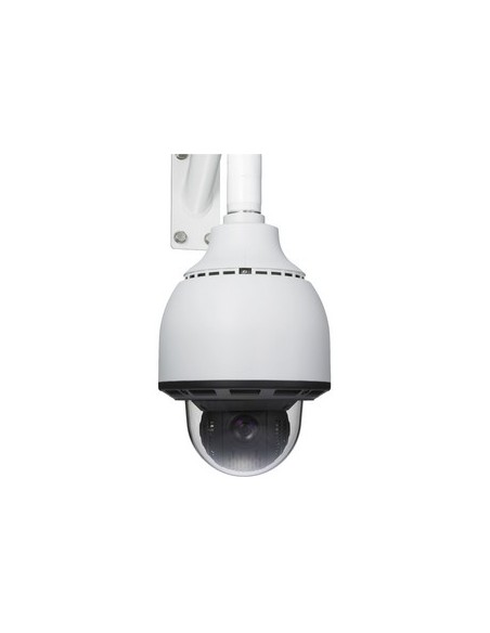 Sony SNC-RS84P telecamera di sorveglianza 720 x 480 Pixel