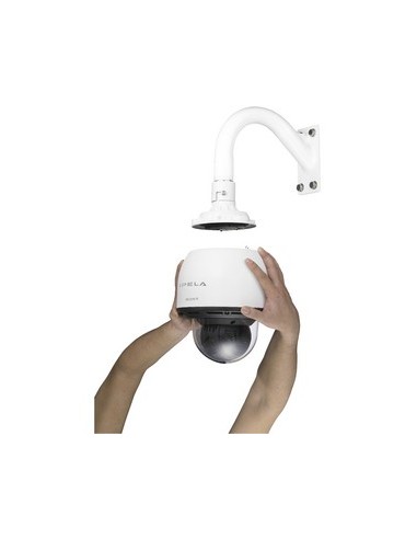 Sony SNC-RS84P telecamera di sorveglianza 720 x 480 Pixel
