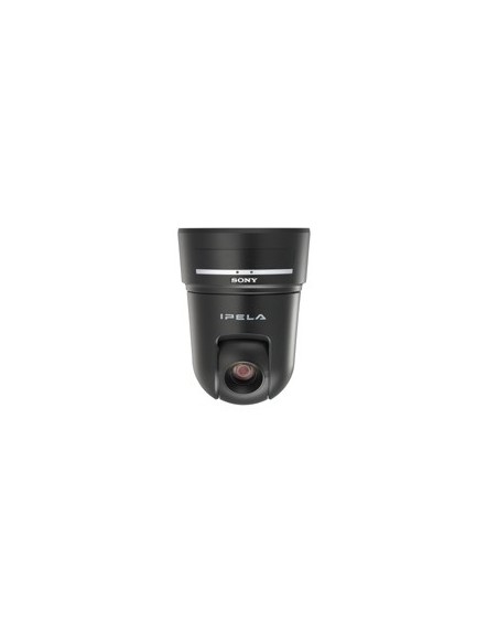 Sony SNC-RX530P webcam Nero