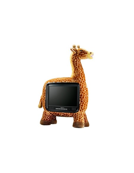 Hannspree ST19BMAB TV 48,3 cm (19") WXGA