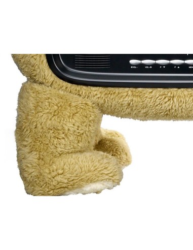 Hannspree ST19CMAB TV 48,3 cm (19") WXGA