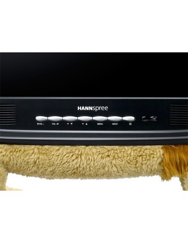 Hannspree ST19CMAB TV 48,3 cm (19") WXGA