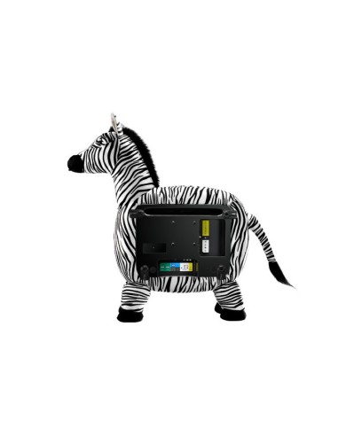 Hannspree ST19ZMAB TV 48,3 cm (19") WXGA