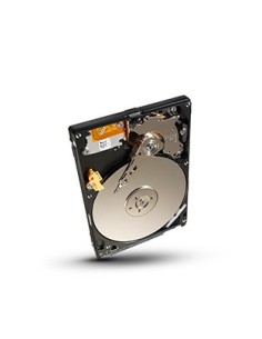 Seagate Momentus 500GB HDD 2.5" Seriale ATA II
