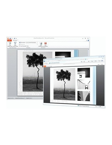 Microsoft Office Home & Business 2010, DVD, 32 64 bit, EN 1 licenza e Inglese