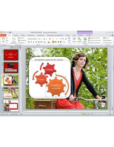 Microsoft Office Home and Business 2010, IT ITA