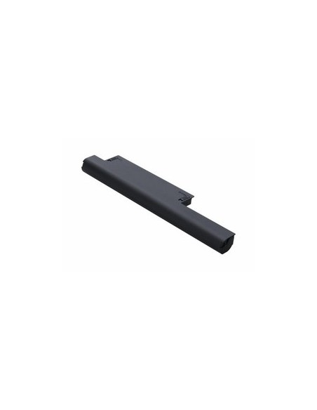Sony BPS22A Batteria per VAIO a capacità standard