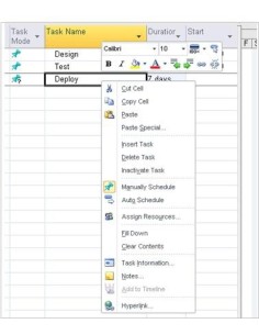 Microsoft Project 2010 Standard, EN 2