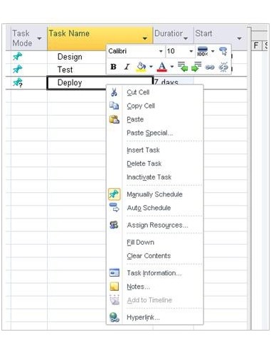 Microsoft Project 2010 Standard, EN