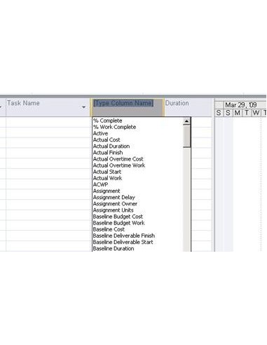 Microsoft Project 2010 Standard, EN