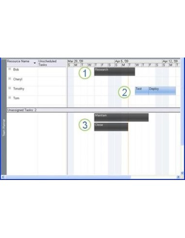 Microsoft Project 2010 Standard, EN