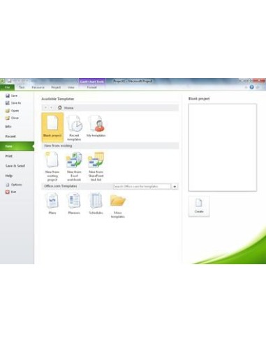 Microsoft Project 2010 Standard, EN