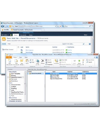 Microsoft SharePoint Workspace 2010, NL, OLP, EDU Istruzione (EDU) 1 licenza e