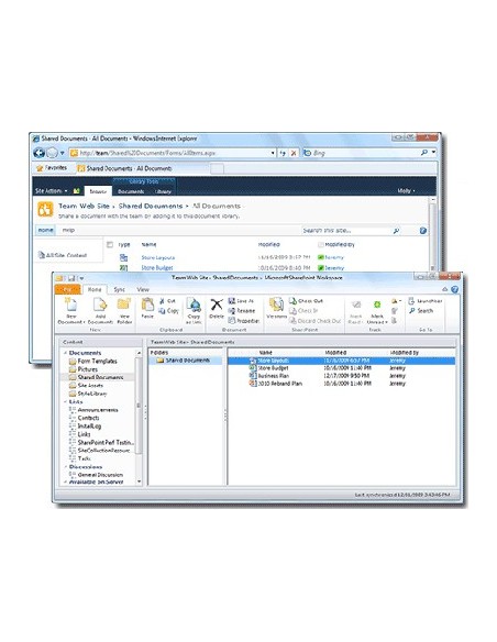Microsoft SharePoint Workspace 2010, NL, OLP, EDU Istruzione (EDU) 1 licenza e