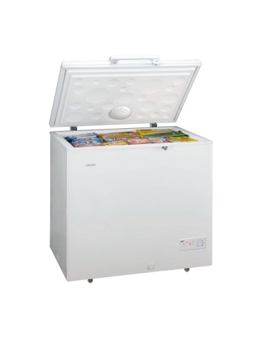 Haier BD-259RAA frigorifero e congelatore commerciali Libera installazione