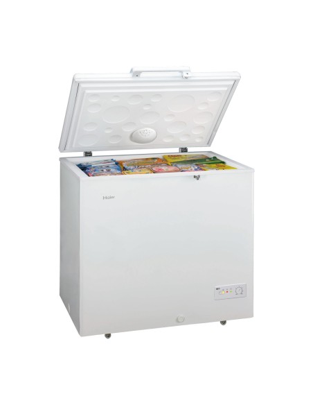 Haier BD-259RAA frigorifero e congelatore commerciali Libera installazione