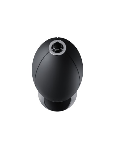 Samsung Wireless Audio 360 R7
