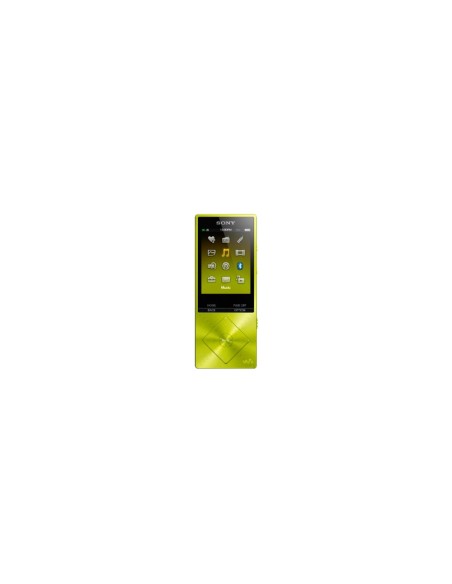 Sony Walkman NW-A25HN