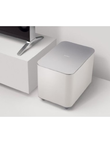 Sony SWF-BR100