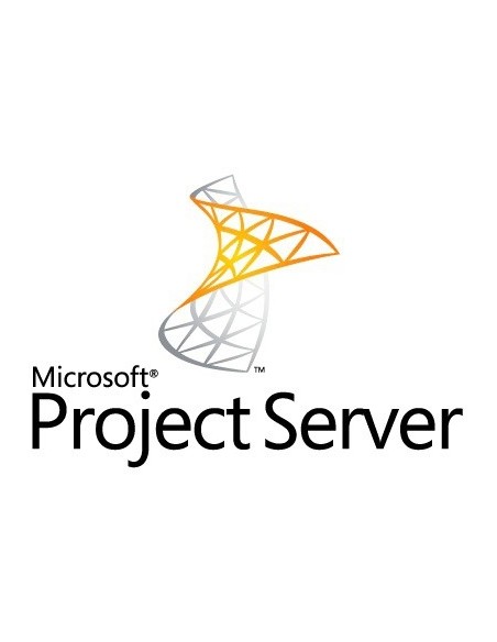 Microsoft Project Server 2013, DCAL, OLP-NL, 1u 1 licenza e
