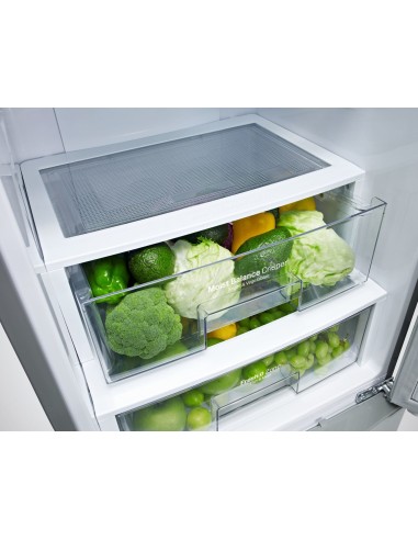 LG GBB530NSCFE frigorifero con congelatore Libera installazione 345 L Acciaio inossidabile