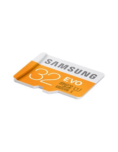 Samsung EVO 32GB MicroSDHC Classe 10