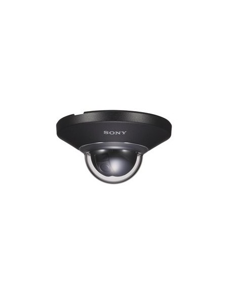 Sony SNCDH110T Cupola 1280 x 960 Pixel Soffitto
