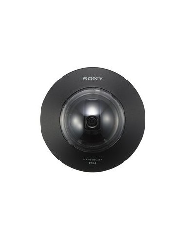 Sony SNCDH110T Cupola 1280 x 960 Pixel Soffitto