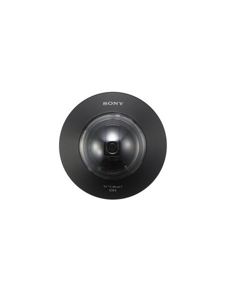 Sony SNCDH110T Cupola 1280 x 960 Pixel Soffitto