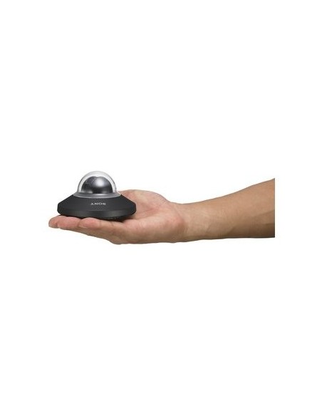 Sony SNCDH110T Cupola 1280 x 960 Pixel Soffitto