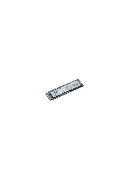 Lenovo 4XB0G69278 drives allo stato solido 256 GB PCI Express MLC