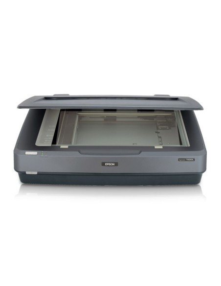 Epson Expression 11000XL Scanner piano 2400 x 4800 DPI A3 Grigio