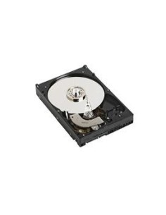 DELL 1TB SATA HD 3.5" 1000 GB