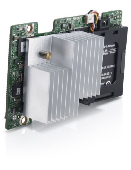 DELL PERC H310 controller RAID PCI Express 2.0 6 Gbit s