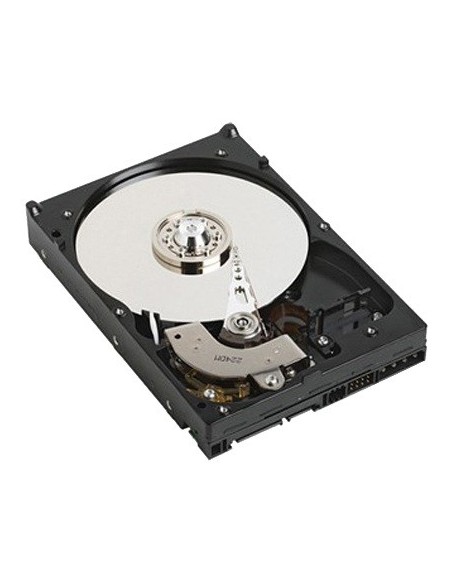 DELL 1TB SATA 3.5" 1000 GB