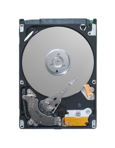 DELL 500GB NL-SAS 2.5"