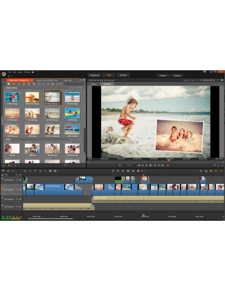 Corel Pinnacle Studio 20 Standard ML EU